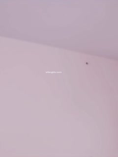 [19岁女孩]江苏少女白虎一线天 超大奶✨✨✨白嫩肥美，露脸，谁能干上这逼就爽翻了[3]