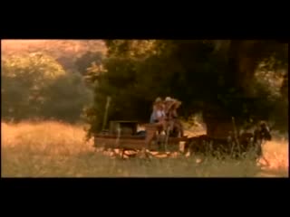 湿野5 -WET AND WILD 5