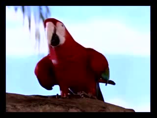 湿和狂野8自下而上-WET AND WILD 8 BOTTOMS UP