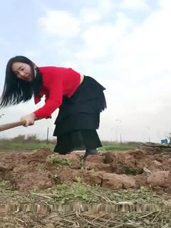 骚气红衣少妇[我要找一夜情]喜欢户外露出，野外锄地露出大屁股塞着跳蛋，旁边还有人回车上自慰