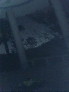 小可爱平台[原卡哇伊]风骚御姐户外小骚货1108大半夜勾搭打炮直接户外口-交啪啪十分淫荡