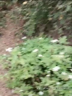 穿着睡衣到山上郊外打野战 [2]