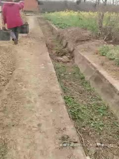 2020.2.17[金莲小仙女]重庆妹子到农村勾搭，撒尿掰穴露臀秀奶，重口味农村旱厕大便拍摄，给农村大哥撸射