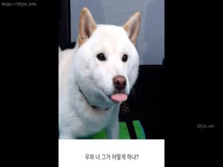 Korean BJ dkdld0901[missedyou] [87]