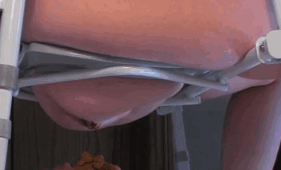 美丽的女士和性感的狗