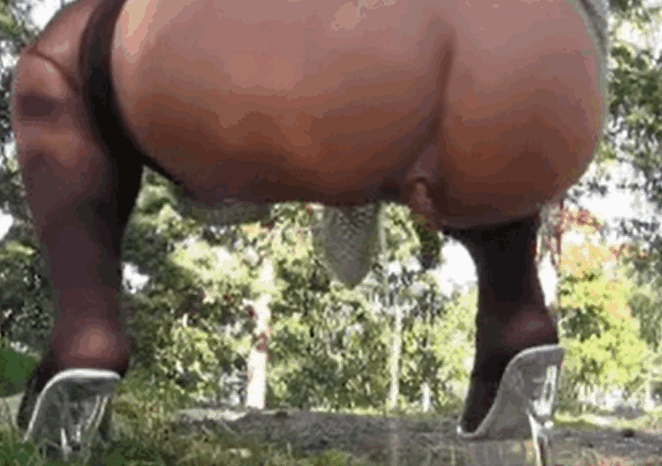 美丽的大屁股在丛林里