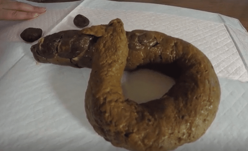 曲线玲珑大屁股裸体宝