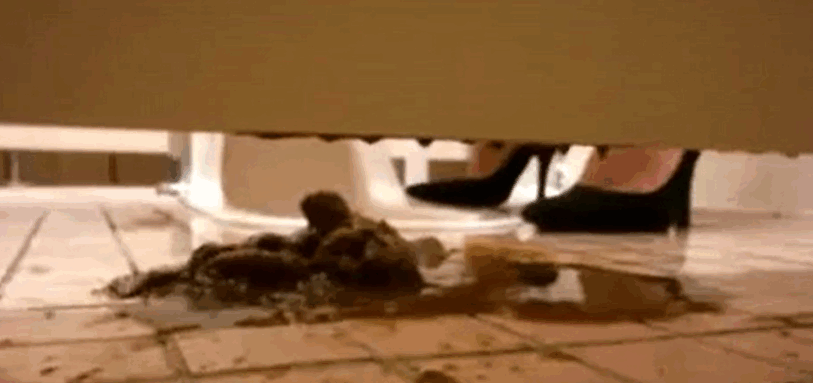 毛茸茸的日本女孩和大