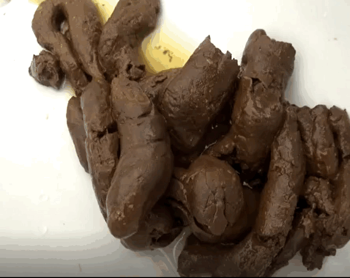 棕色头发的日本女孩大