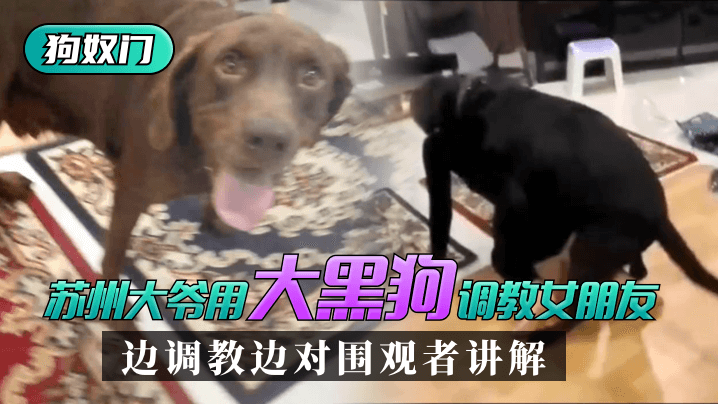 [苏州“狗奴门”]苏